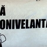 Sapa Autonivelanta 25kg